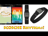 Scosche Rhythm+ Armband Heart Rate Monitor